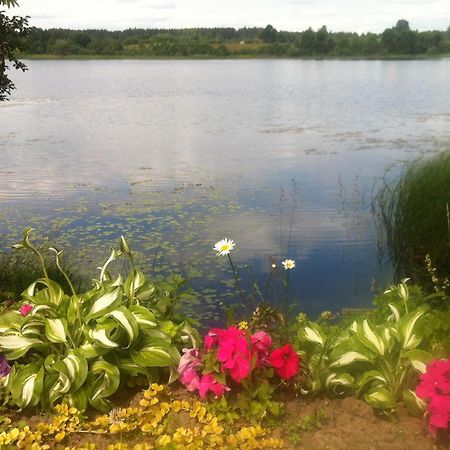 Dvinumajas Villa Balvi Bagian luar foto