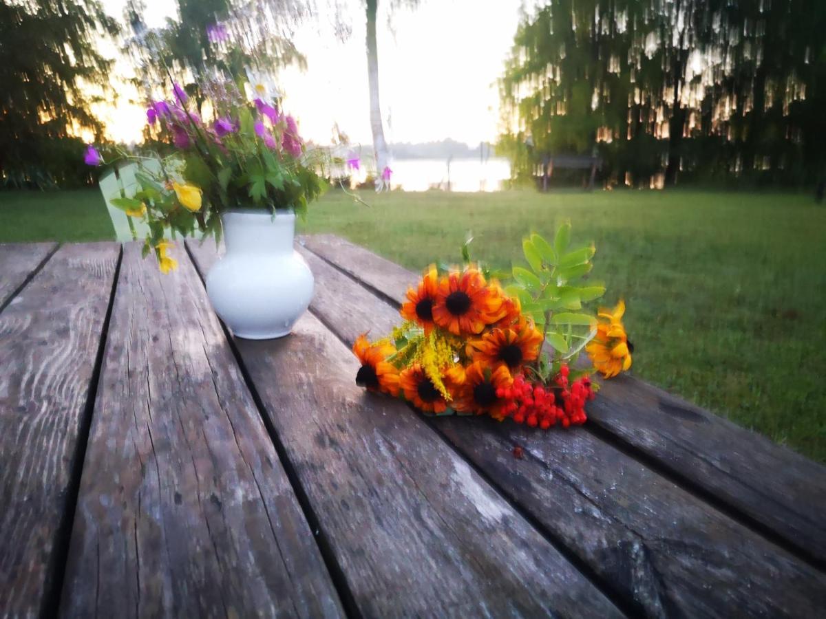 Dvinumajas Villa Balvi Bagian luar foto
