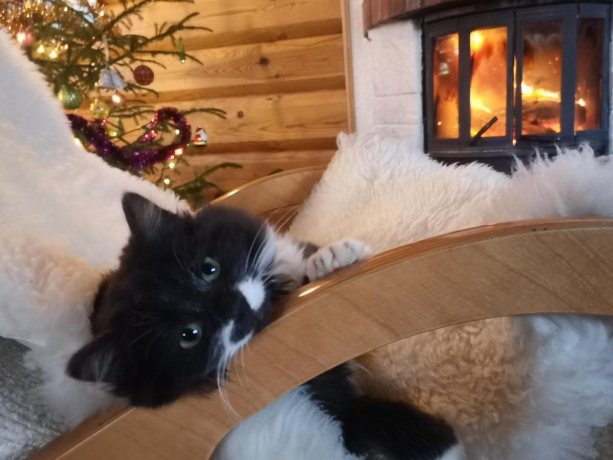 Dvinumajas Villa Balvi Bagian luar foto
