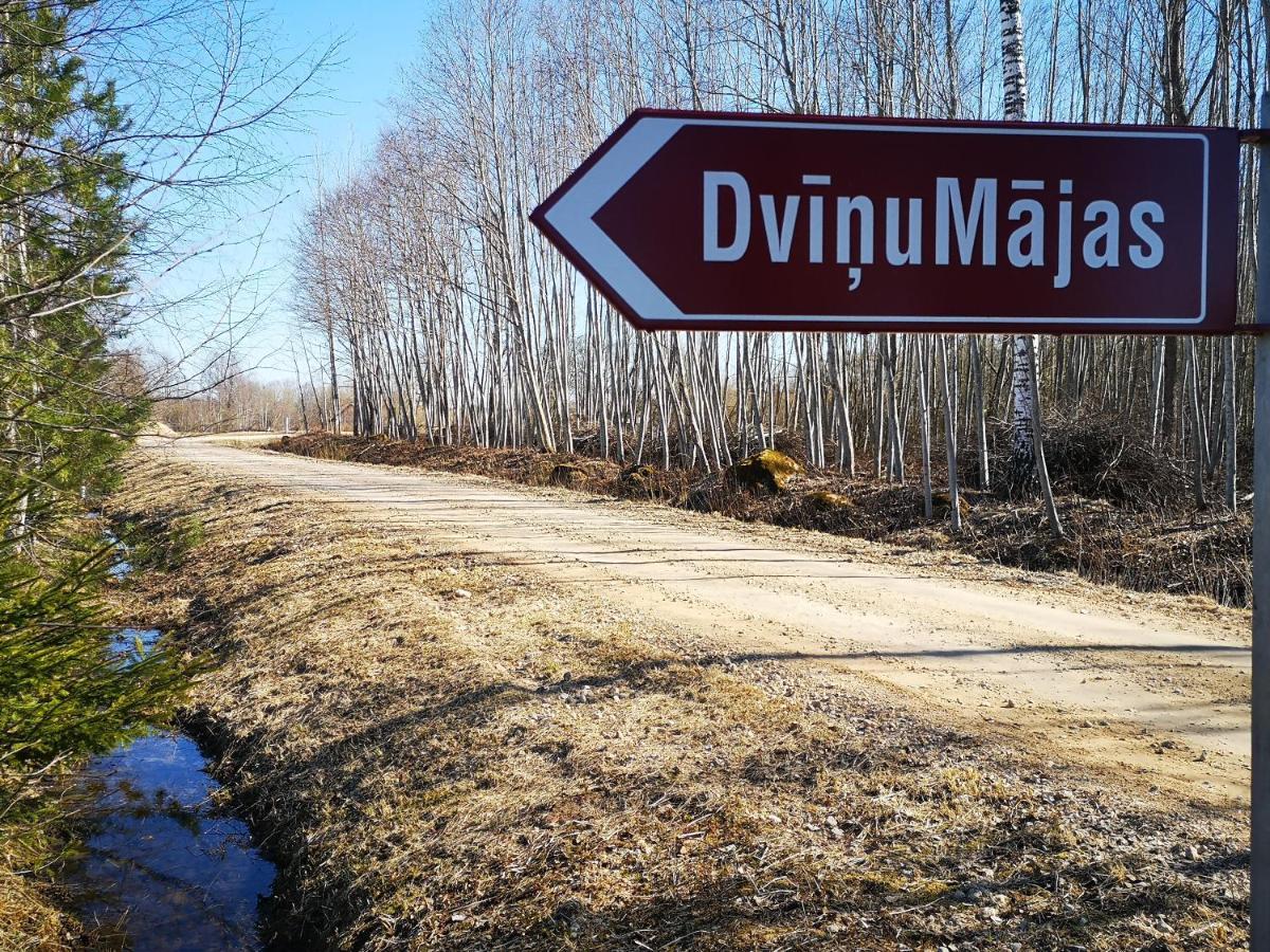 Dvinumajas Villa Balvi Bagian luar foto