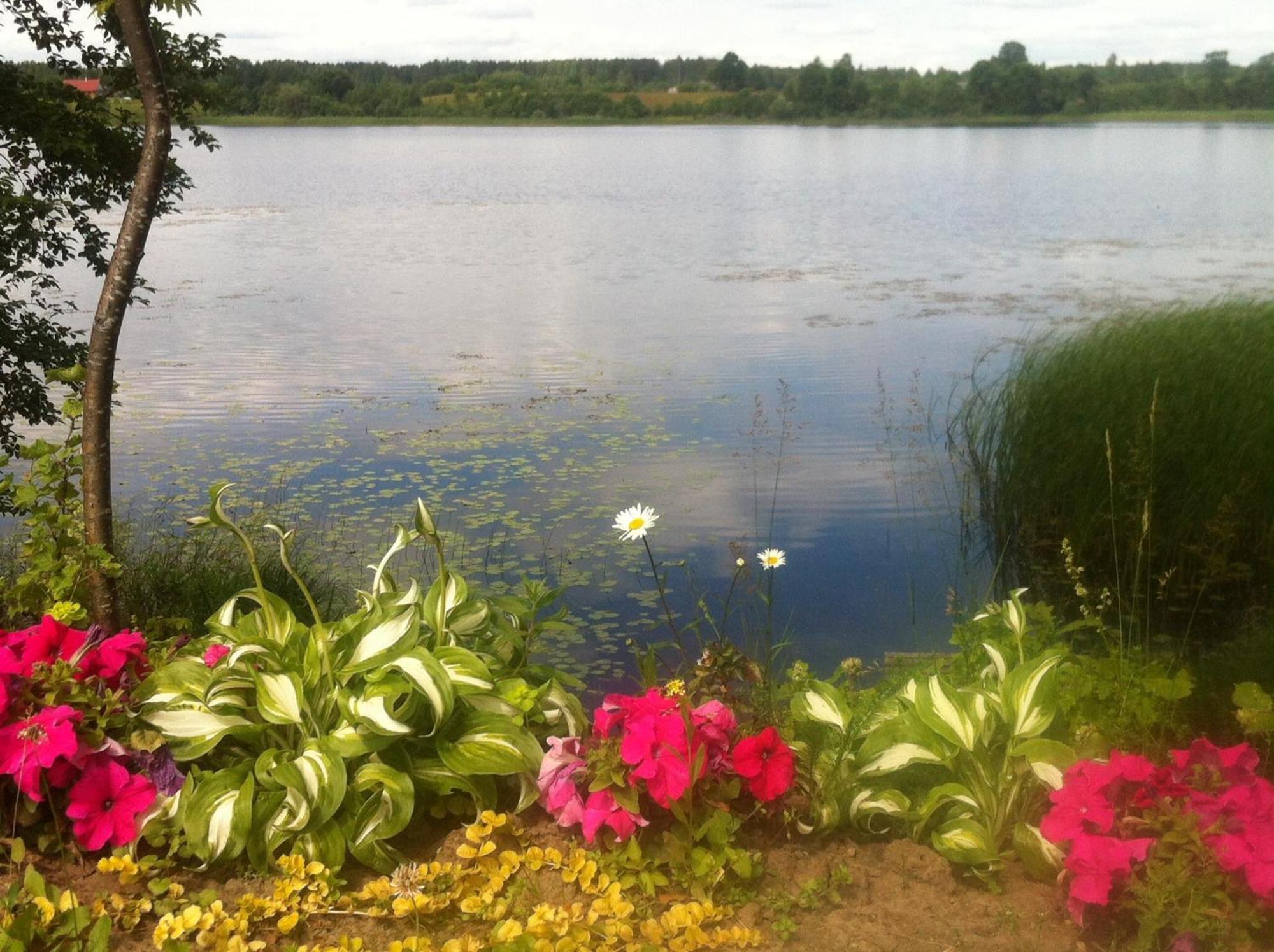 Dvinumajas Villa Balvi Bagian luar foto