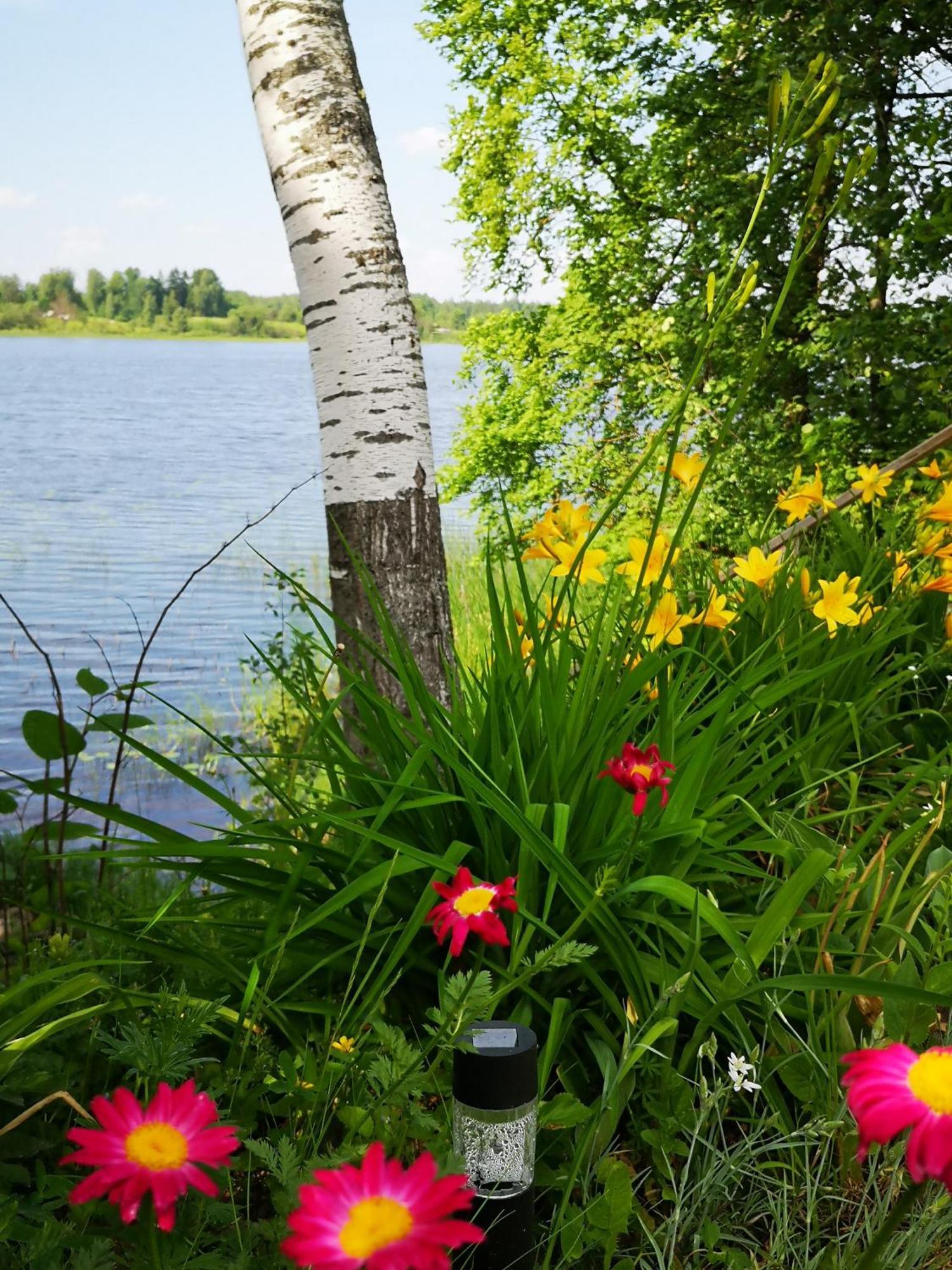 Dvinumajas Villa Balvi Bagian luar foto